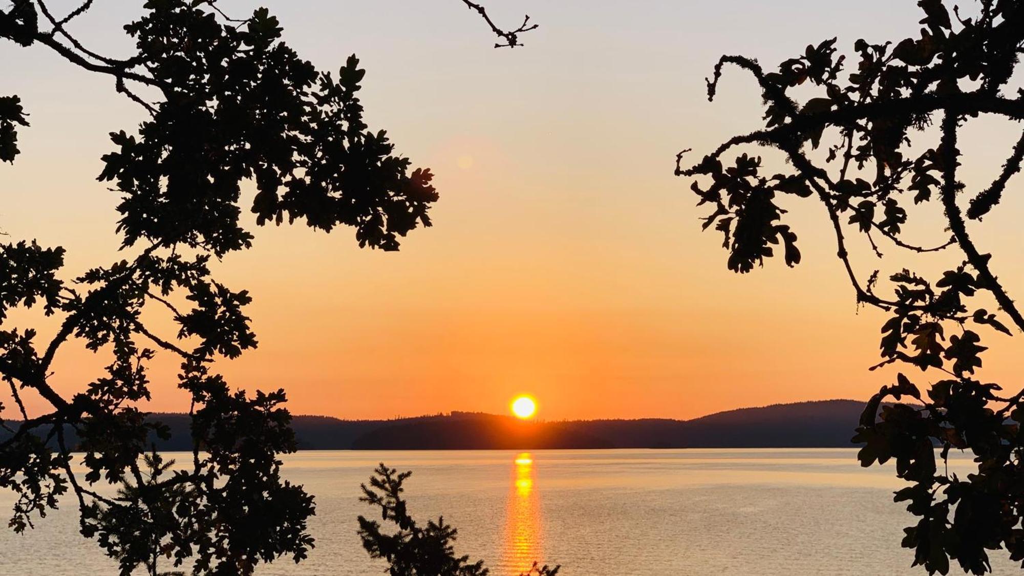 Sealavie Rare Peaceful & Hidden Gem Shore House Ladysmith Dış mekan fotoğraf